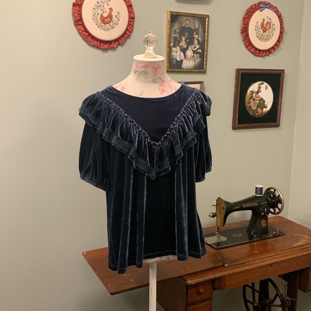 Luxurious Velvet top